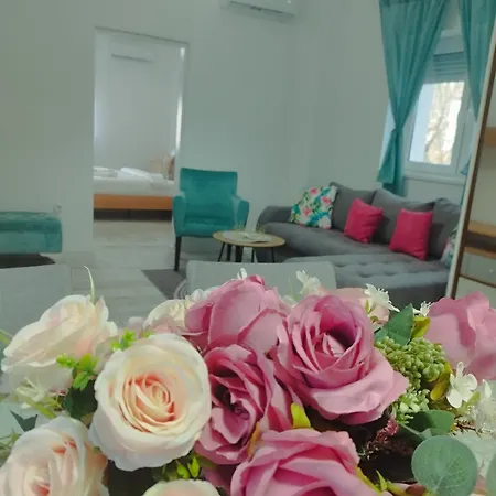 Radovic Apartment